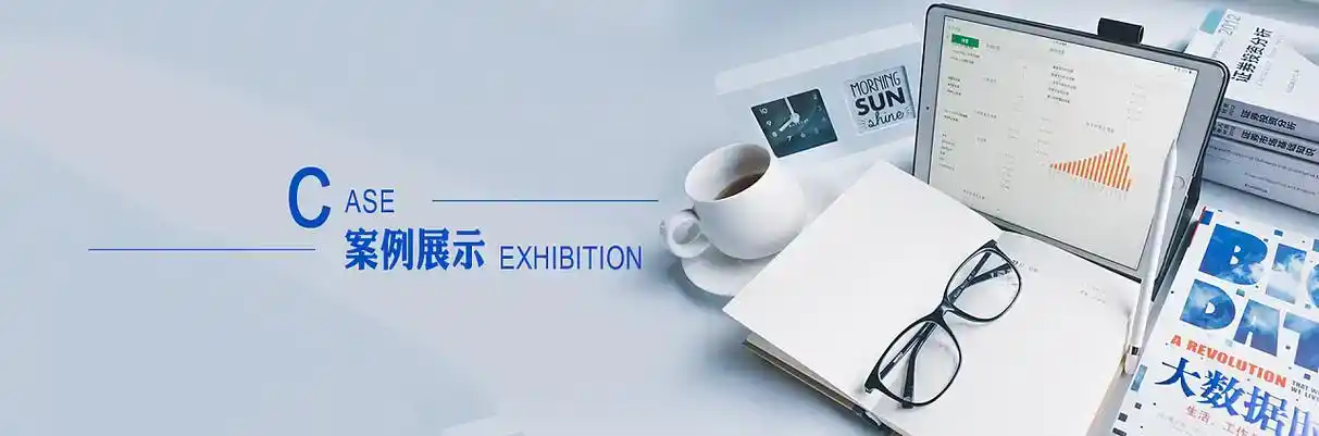 雄县软件开发